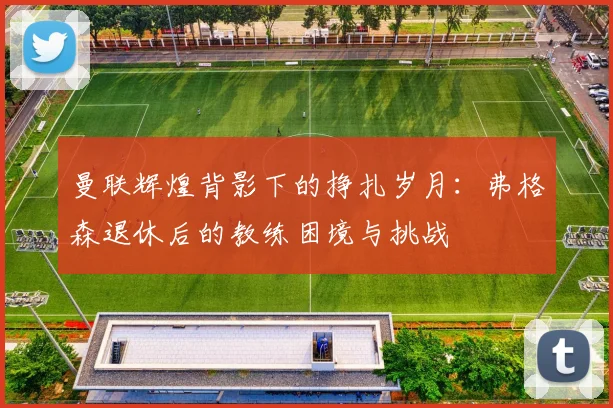 曼联辉煌背影下的挣扎岁月：弗格森退休后的教练困境与挑战