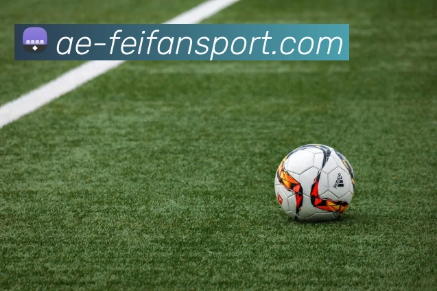 非凡体育APP 封面图